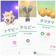 ポケモンgo 国内産色違いホルビー トゲピー タマタマ アカウント販売 Rmt Club