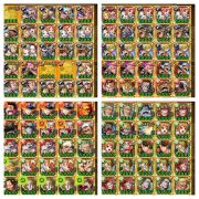 上 ワンピース トレジャークルーズ アルビダ 9424