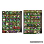 パズドラ データのアカウント販売 買取 Rmt Club