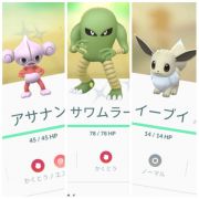 ポケモンgo 色違いサワムラー アサナン3 イーブイ ツタージャ10 アカウント販売 Rmt Club