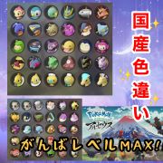 ポケモンレジェンズ アルセウス 随時更新 レジェンズアルセウス 国産色違い がんばレベルmax12体セット Rmt Club