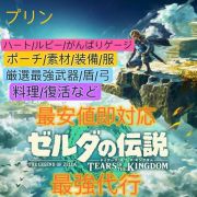 最安即対応既存データ強化 ゼルダの伝説 ティアーズ オブ ザ 